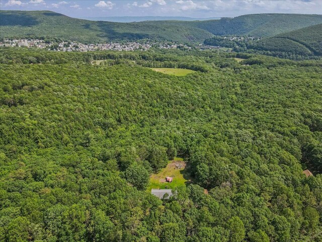 446 Dew Drop Dr, Jim Thorpe, PA 18229 - drone / aerial view of a heavily wooded area and mountains