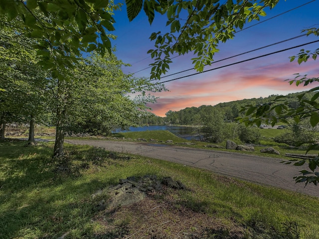 7537 Lake Shore Dr, Pocono Lake, PA 18347 - view of asphalt street with a water view