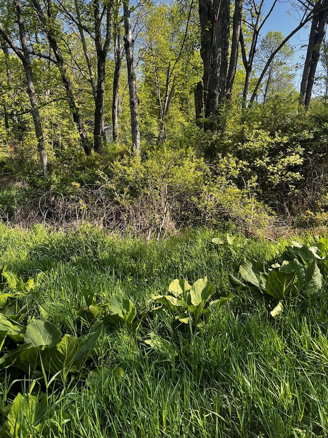 LOT412-41 Marilou Ln, Bartonsville, PA 18321 - photo 5