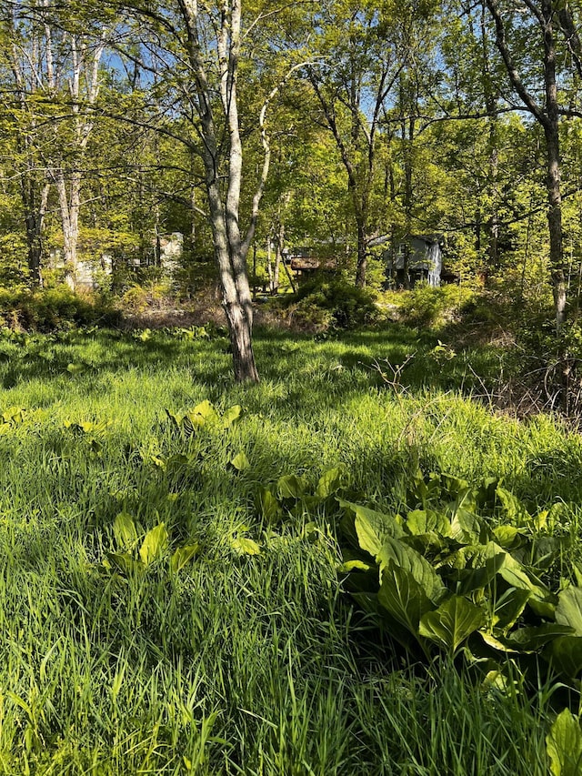 LOT412-41 Marilou Ln, Bartonsville, PA 18321 - photo 4