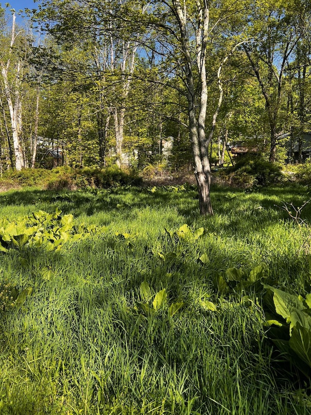 LOT412-41 Marilou Ln, Bartonsville, PA 18321 - photo 7