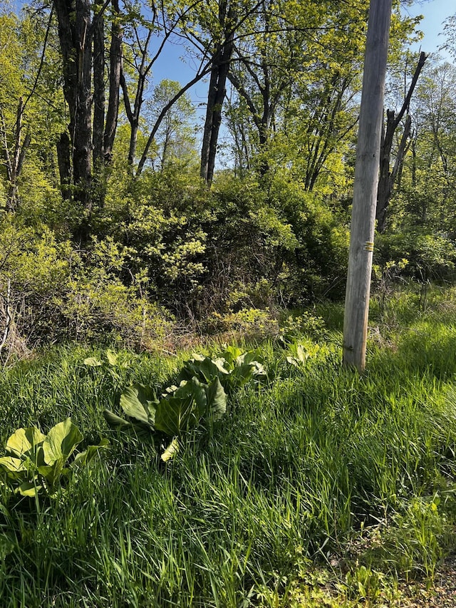 LOT412-41 Marilou Ln, Bartonsville, PA 18321 - photo 2