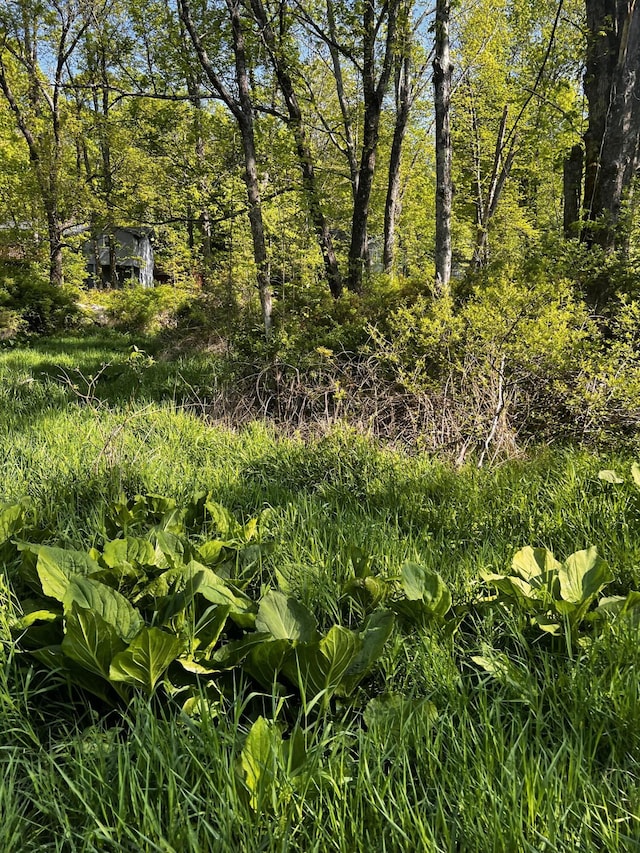 LOT412-41 Marilou Ln, Bartonsville, PA 18321 - photo 3