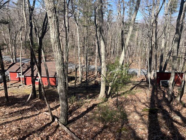 view of yard with a wooded view