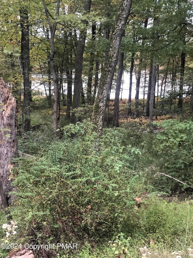 Pocono Blvd, Bushkill PA, 18324 land for sale