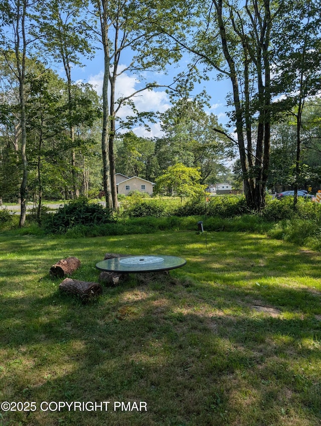 1209 Shadblow Rd, Pocono Summit, PA 18346 - photo 20