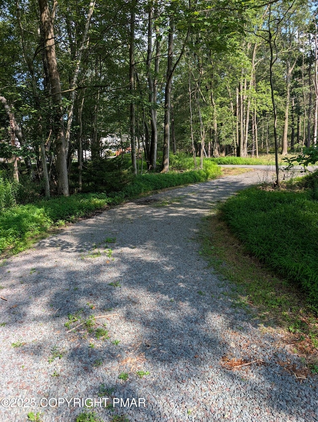 1209 Shadblow Rd, Pocono Summit, PA 18346 - photo 22