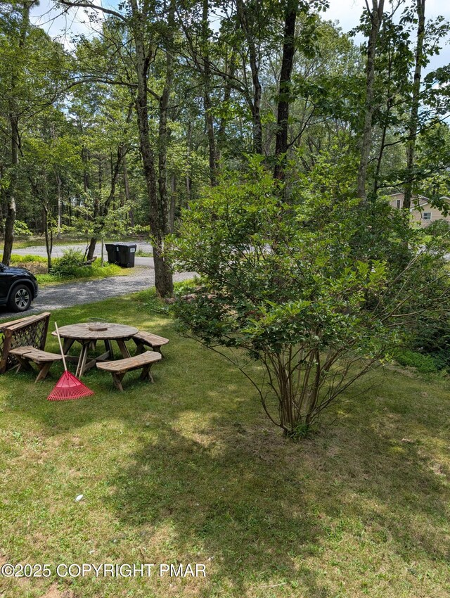 1209 Shadblow Rd, Pocono Summit, PA 18346 - photo 19