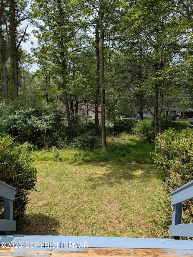 1209 Shadblow Rd, Pocono Summit, PA 18346 - photo 18