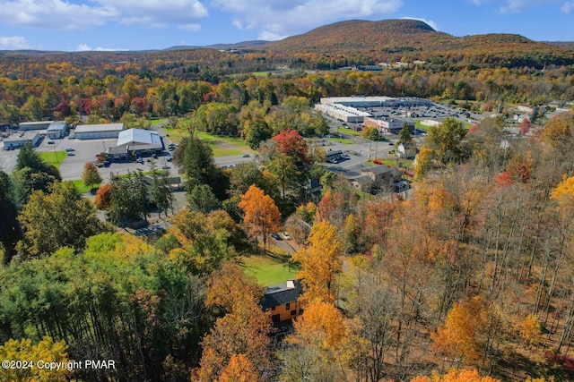 aerial view featuring a mountain view and a forest view