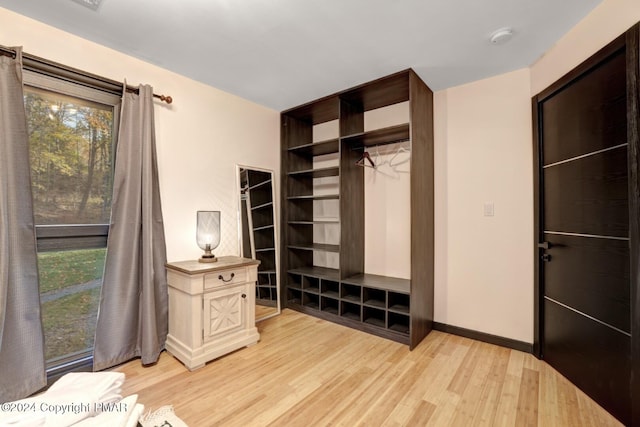 bedroom featuring light wood-style flooring, multiple windows, baseboards, and a closet