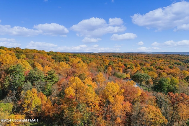 drone / aerial view with a view of trees