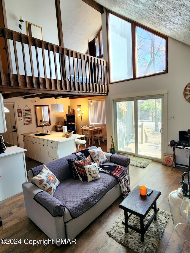 living room featuring high vaulted ceiling, sink, and hardwood / wood-style floors