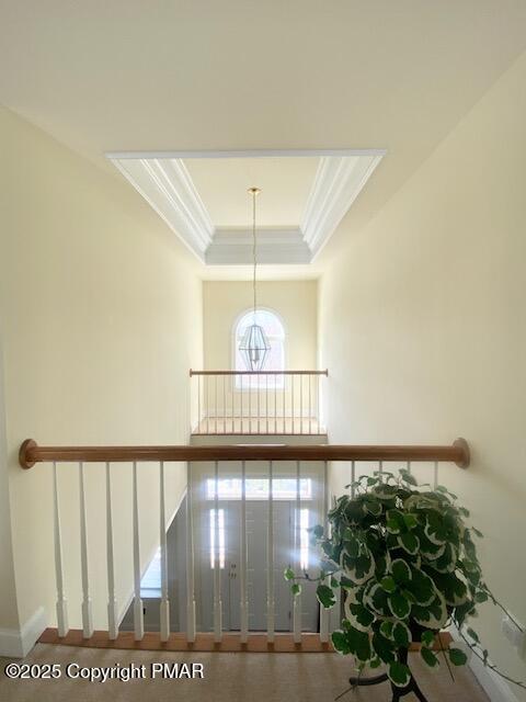 staircase featuring a raised ceiling