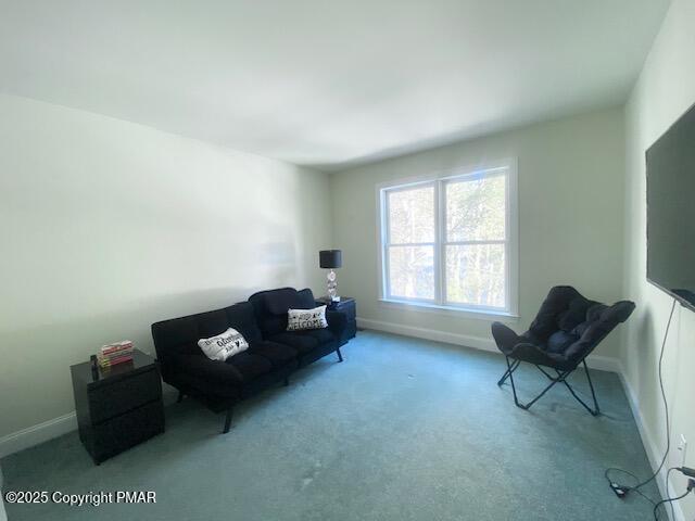 sitting room with carpet floors