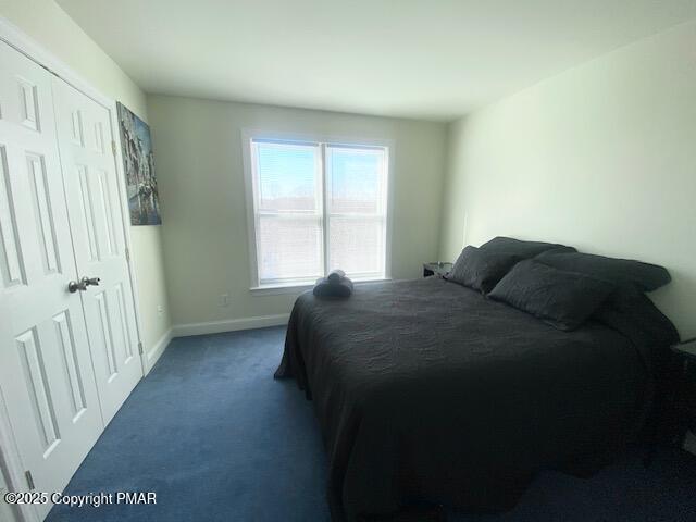 bedroom with a closet and carpet floors