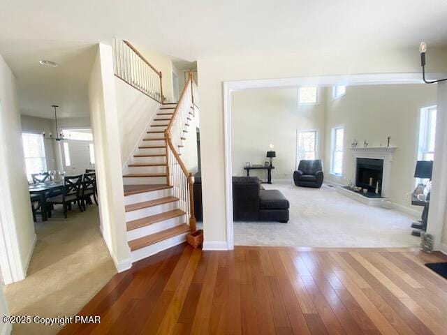 interior space with wood-type flooring and plenty of natural light