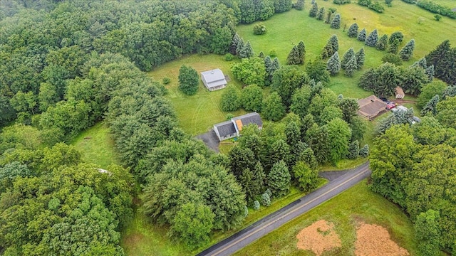 188 Cress Dr, Saylorsburg, PA 18353 - aerial overview of property's location