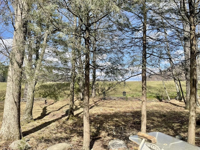 215 Outer Dr, Dingmans Ferry, PA 18328 - view of yard