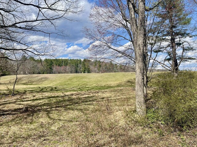 215 Outer Dr, Dingmans Ferry, PA 18328 - view of local wilderness featuring a forest view