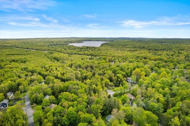 483 Alter Ave, Pocono Summit, PA 18346 - bird's eye view of a forest and a nearby body of water