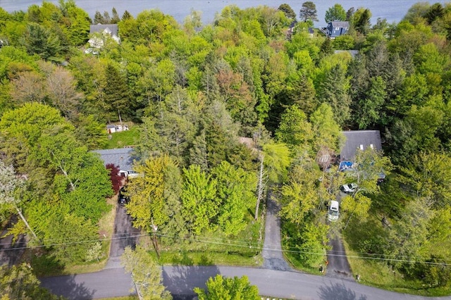 483 Alter Ave, Pocono Summit, PA 18346 - aerial view of a forest