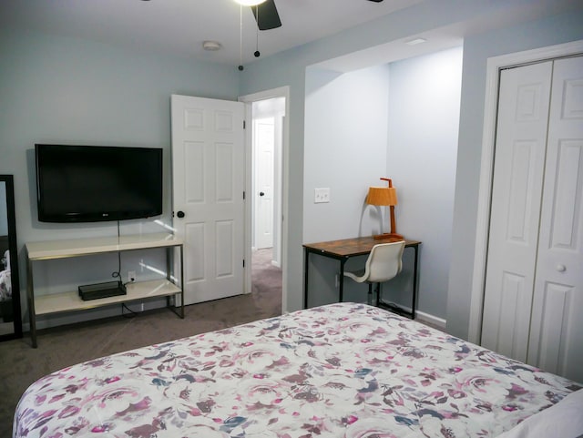 5109 Hickory Ln, East Stroudsburg, PA 18302 - bedroom with a ceiling fan, a closet, and carpet