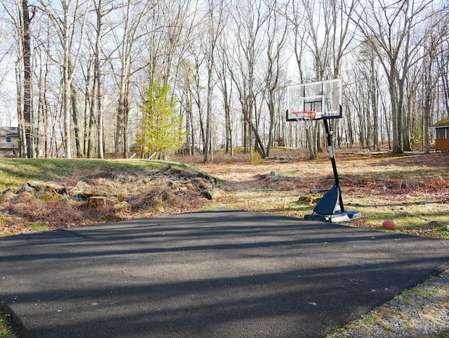 5109 Hickory Ln, East Stroudsburg, PA 18302 - view of basketball court