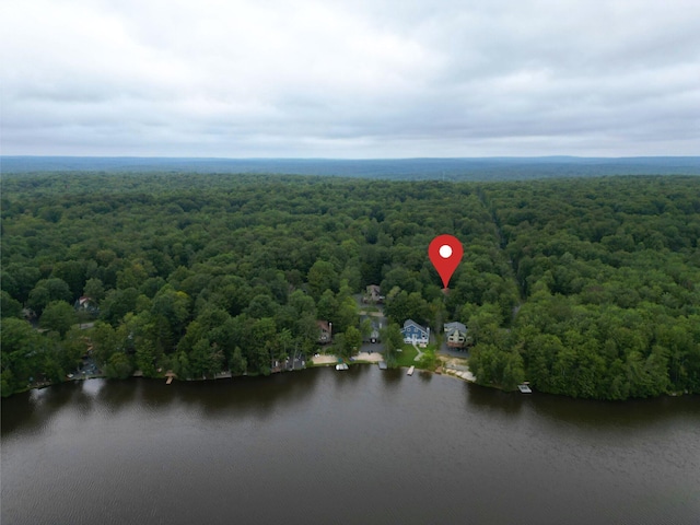 225 N Arrow Dr, Pocono Lake, PA 18347 - drone / aerial view of a forest and a nearby body of water