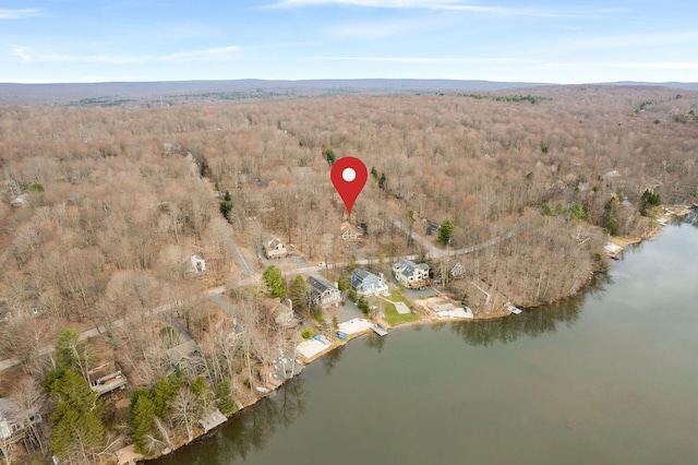 225 N Arrow Dr, Pocono Lake, PA 18347 - aerial view of property's location with a heavily wooded area and a nearby body of water