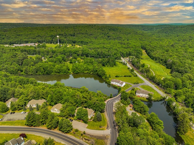 205 Osprey Way E, Stroudsburg, PA 18302 - aerial view of a heavily wooded area and a large body of water