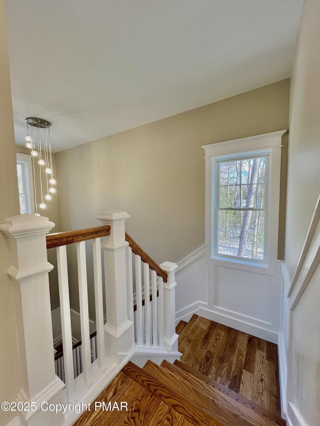 stairway with a wainscoted wall, wood finished floors, and a decorative wall