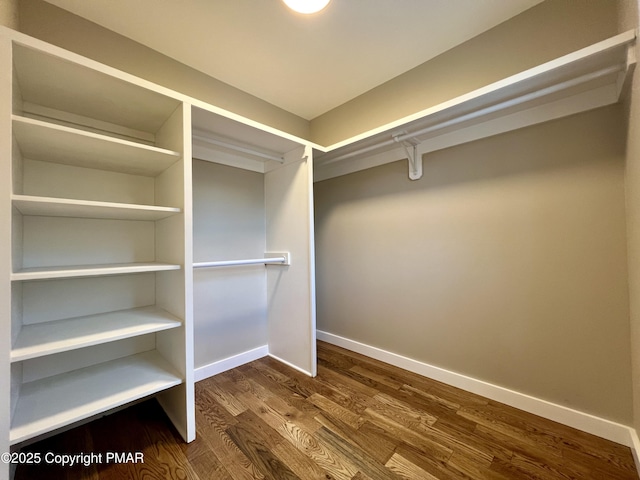 walk in closet featuring dark wood-type flooring