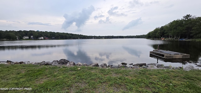 403 Rolling Hills Dr Unit 403, Tobyhanna, PA 18466 - photo 5