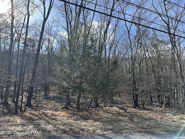 Listing photo 3 for LOT736 Decker Rd, Bushkill PA 18324