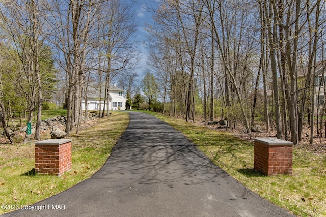 view of road featuring aphalt driveway