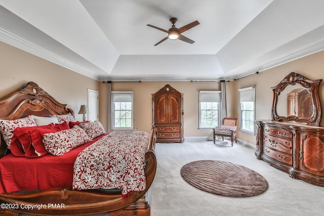 bedroom with a tray ceiling, carpet flooring, a ceiling fan, and baseboards