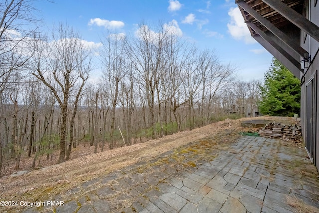 view of yard with a patio area