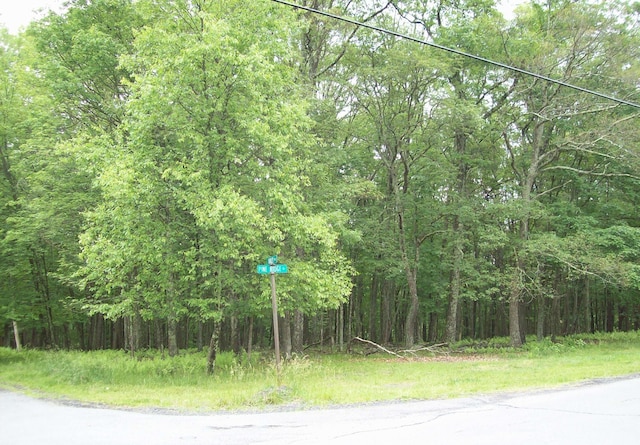 LOT151 Pine Ridge Dr, Bushkill PA, 18324 land for sale