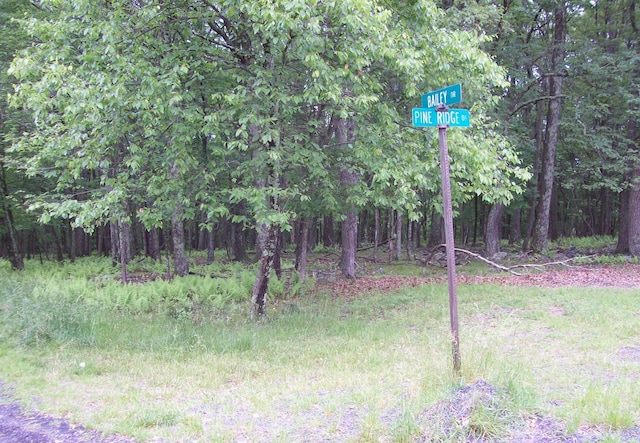 Listing photo 3 for LOT151 Pine Ridge Dr, Bushkill PA 18324