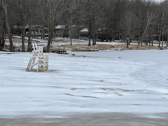 1553 Locust Ln, Pocono Lake, PA 18347 - view of yard covered in snow