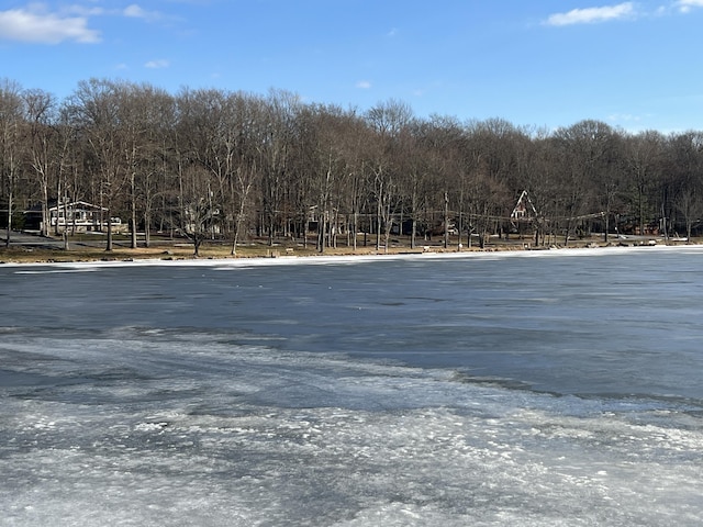 1553 Locust Ln, Pocono Lake, PA 18347 - view of yard