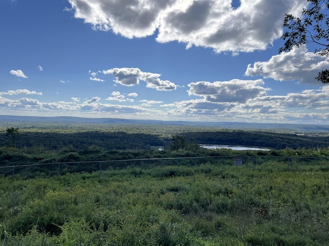1553 Locust Ln, Pocono Lake, PA 18347 - view of mountain background with a heavily wooded area