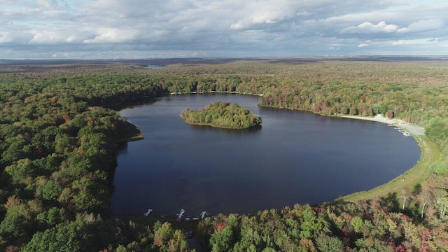 1553 Locust Ln, Pocono Lake, PA 18347 - aerial view of a forest and a nearby body of water