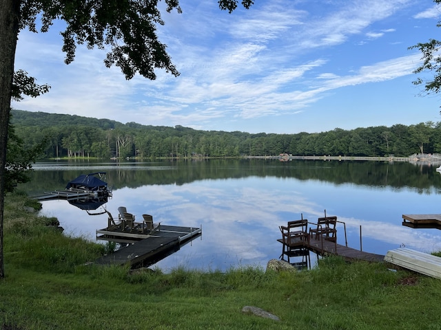 1553 Locust Ln, Pocono Lake, PA 18347 - dock area featuring a wooded view and a water view