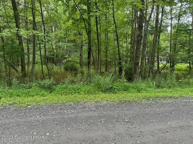 Hilltop Ct, East Stroudsburg PA, 18302 land for sale