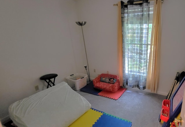 6251 Decker Rd, Bushkill, PA 18324 - bedroom with carpet floors