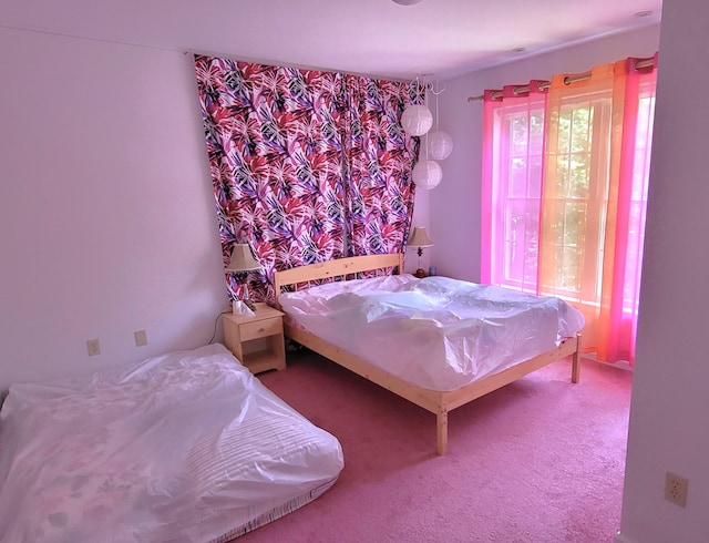 6251 Decker Rd, Bushkill, PA 18324 - view of carpeted bedroom
