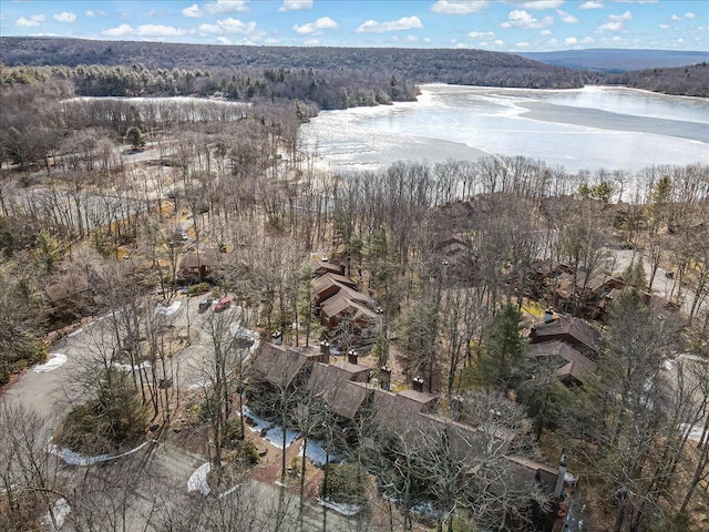 drone / aerial view with a forest view and a water view