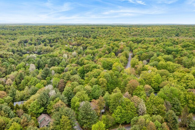 104 Jimmy Pond Ct, Pocono Pines, PA 18350 - bird's eye view of a heavily wooded area
